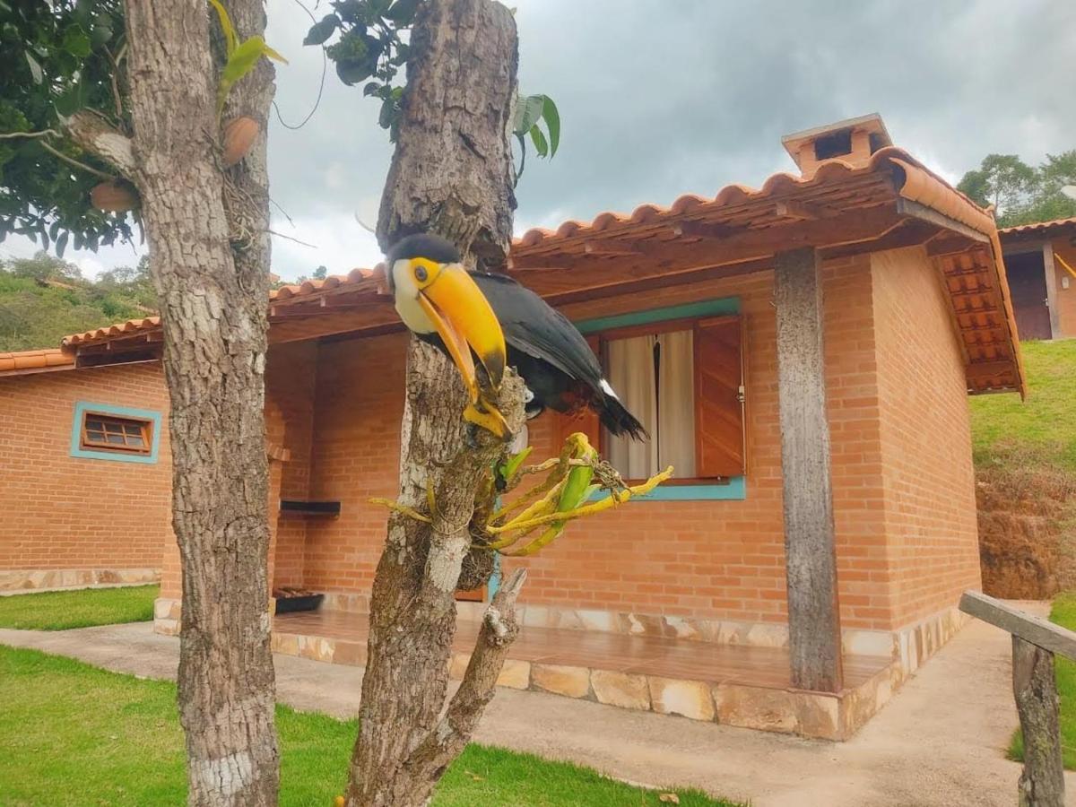 Villa Nova Chales Lima Duarte Bagian luar foto